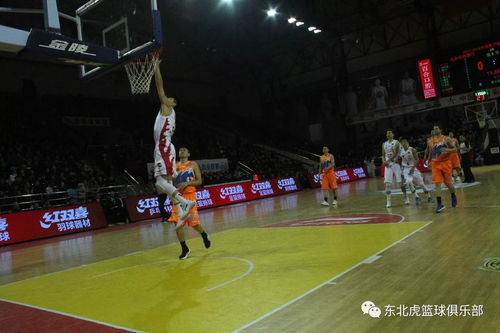 吉林九台农商行：CBA内线的NBA霸主风范