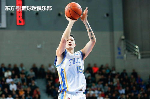 球队阵容与战术调整