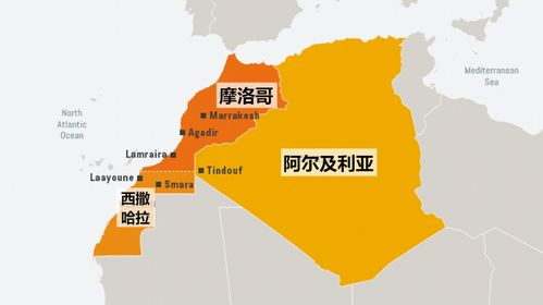 核心阵容对比：球星效应与团队协作的博弈