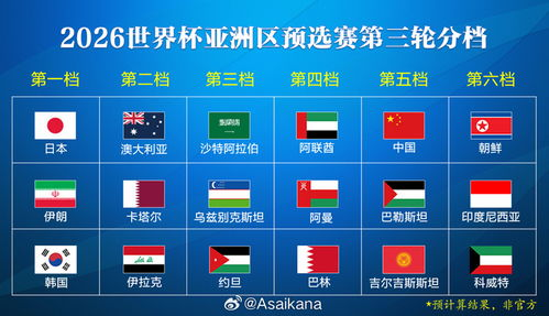 2026世界杯非洲区预选赛：足球赛事的安全保障与球迷权益