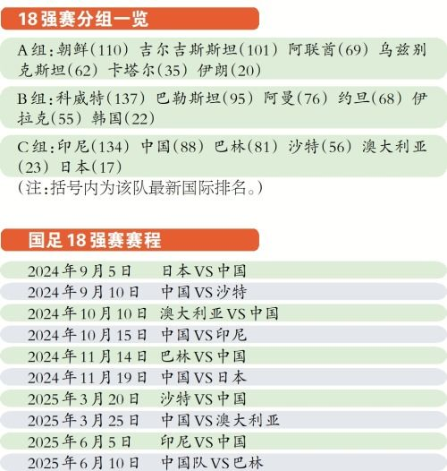 非洲区预选赛组织架构的革新实践