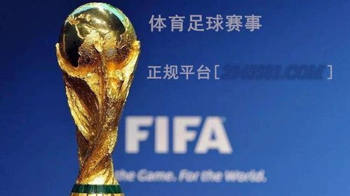 赛事背后的社会价值:从球场到社区的纽带
