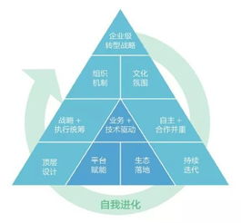 战术单一化的深层症结