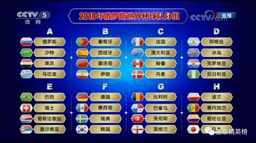 战术单一化困境的具体表征