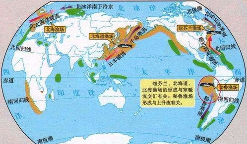 南美豪强的战术博弈图谱