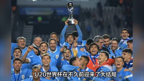 从加勒比海到世界舞台:开曼群岛晋级之路