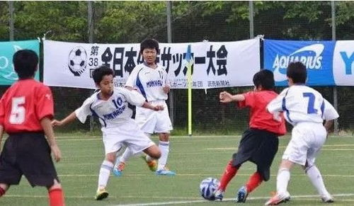 金字塔结构：南美青训体系的根基