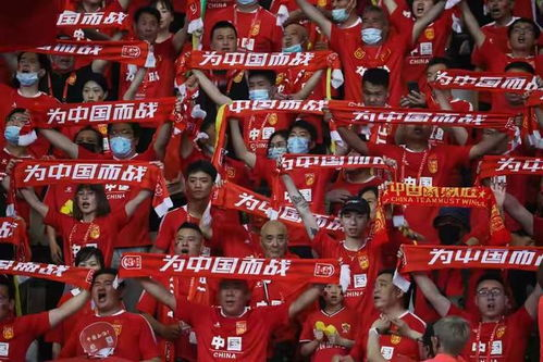弹性攻防体系铸就核心竞争力