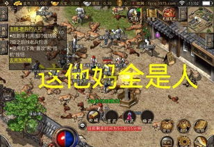 三端互通传奇手游找盒子攻略-常见问题与解决方法【复古传奇手游】