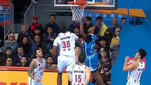 一、CBA官网的定位与核心价值