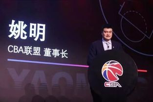 CBA球队,职业联赛发展新趋势-运营模式与竞技水平深度解析