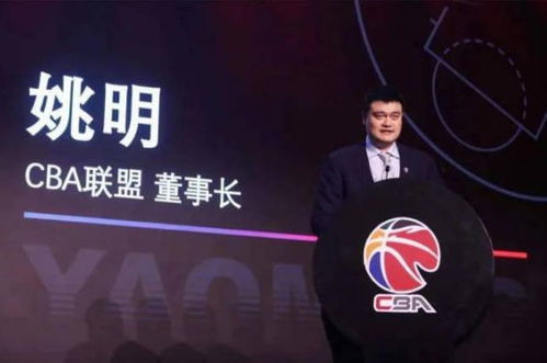 一、CBA录像回放系统的技术架构解析