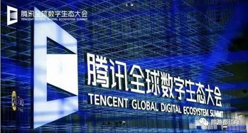 NBA中国化进程的数字化拐点