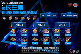 一、夏季联赛定义与历史沿革