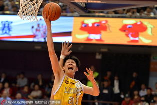 CBA广厦队深度解析：浙江男篮的崛起之路与战略布局