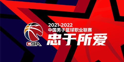 一、官网架构与核心功能模块解析