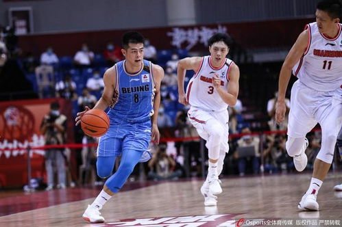 一、职业篮球俱乐部的城市基因培育