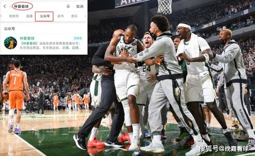一、NBA录像回放的重要性