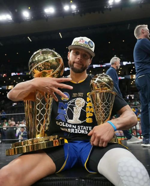 NBA总冠军_2015年nba总冠军