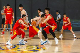NBA夏季联赛的独特定位与赛事价值
