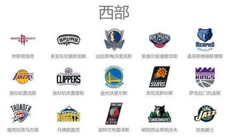 职业篮球联赛发展二十年演进史