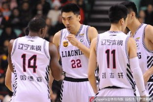 平台定位与内容矩阵构建