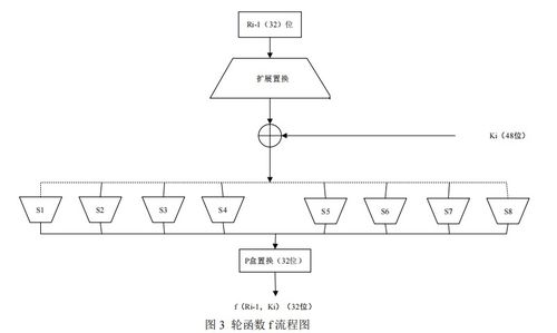 NBA排名基础:胜负场次与积分规则详解