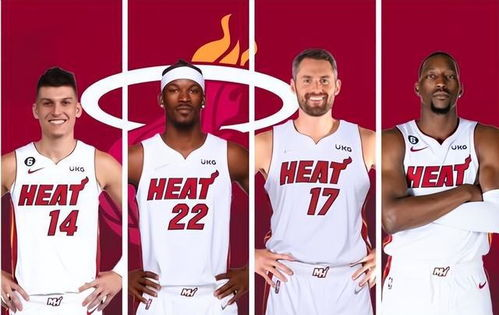 一、NBA观赛需求与市场现状分析