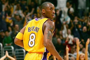 一、NBA新浪发展历程与平台定位演变