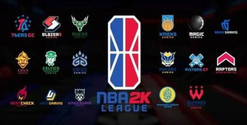 NBA主体联赛的构成要素