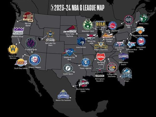 NBA G联赛的生态定位与历史沿革