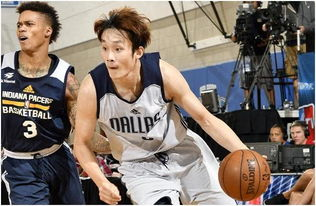 夏季联赛的独特价值与直播意义