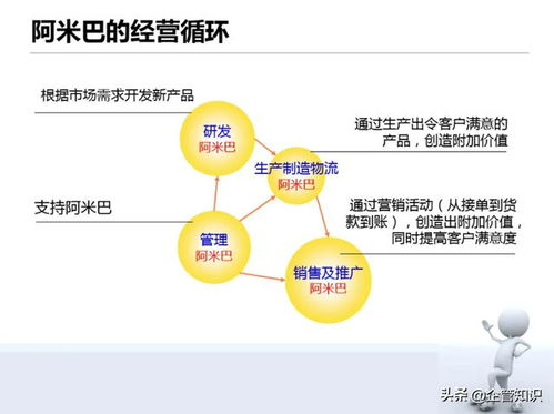 职业联赛体系下的球队管理新格局