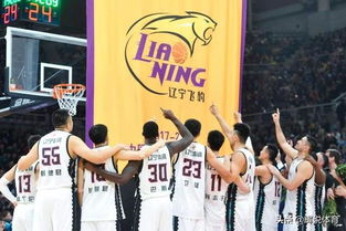十年磨剑:从浙江万马到cba广厦的蜕变之路