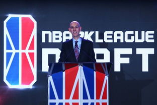 NBA官方转播平台的深度服务解析