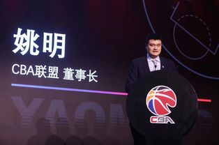 职业联赛社区的发展演进历程