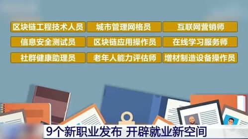 一、CBA官方网站功能架构解析