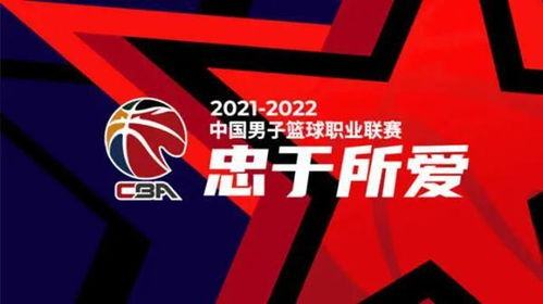 CBA联赛的创立背景与发展历程