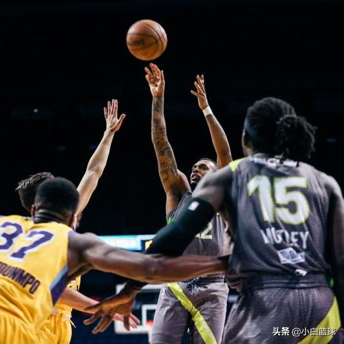 NBA G联赛的生态定位与历史沿革
