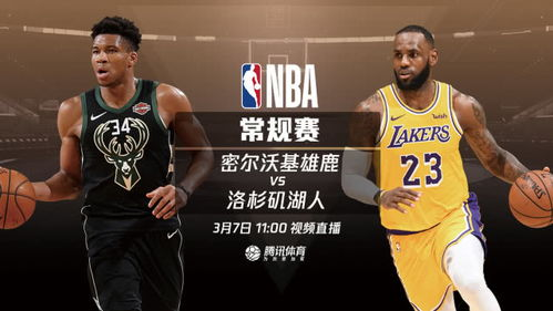 NBA赛事体系的全景透视
