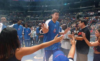 一、NBA赛季周期与核心阶段划分