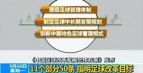 体制沉疴下的足球困局