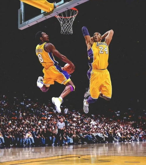 黑白体育NBA直播核心优势解析