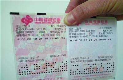 核心思路：概率与赔率平衡