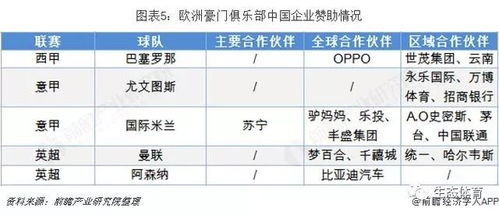 赛事数据的深度挖掘