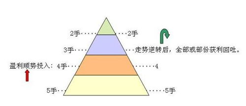 政策风向:中考体育分值权重持续上升