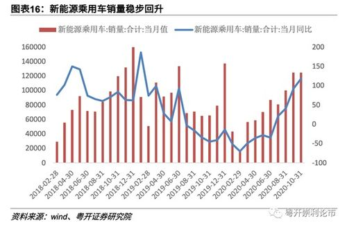 政策驱动下的市场需求变化
