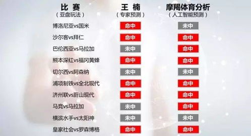 智能预测模型的核心工作原理