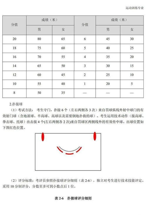 2024年体育单招政策新动向