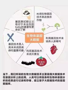 一、网易体育预测的技术底层逻辑解析